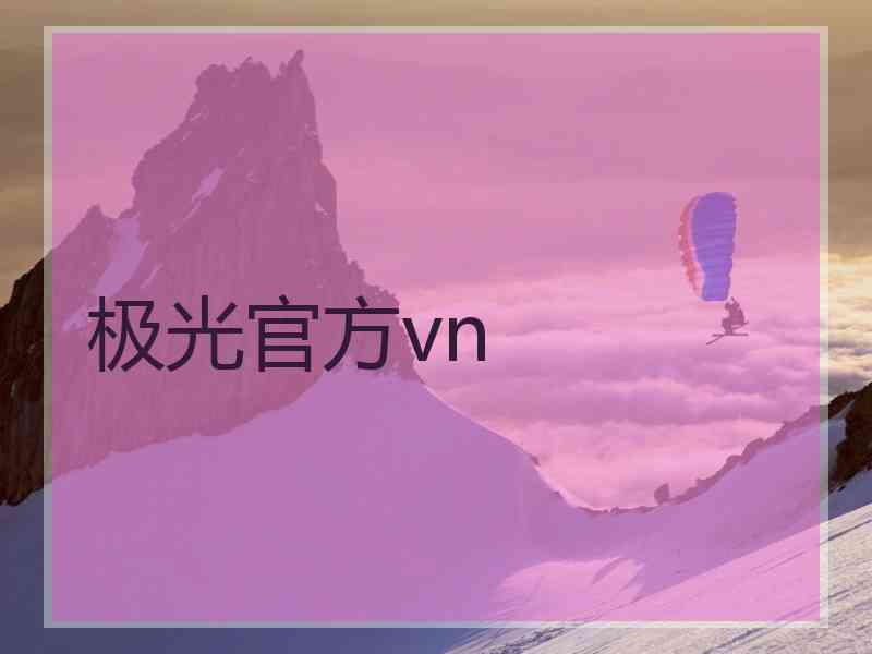 极光官方vn