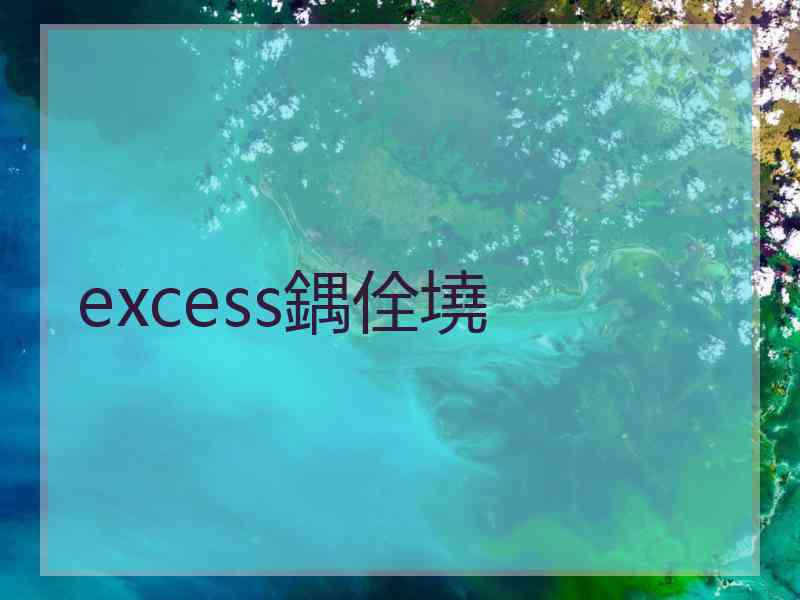 excess鍝佺墝