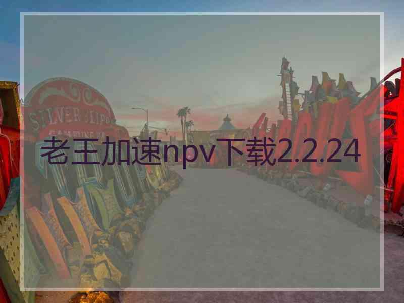 老王加速npv下载2.2.24