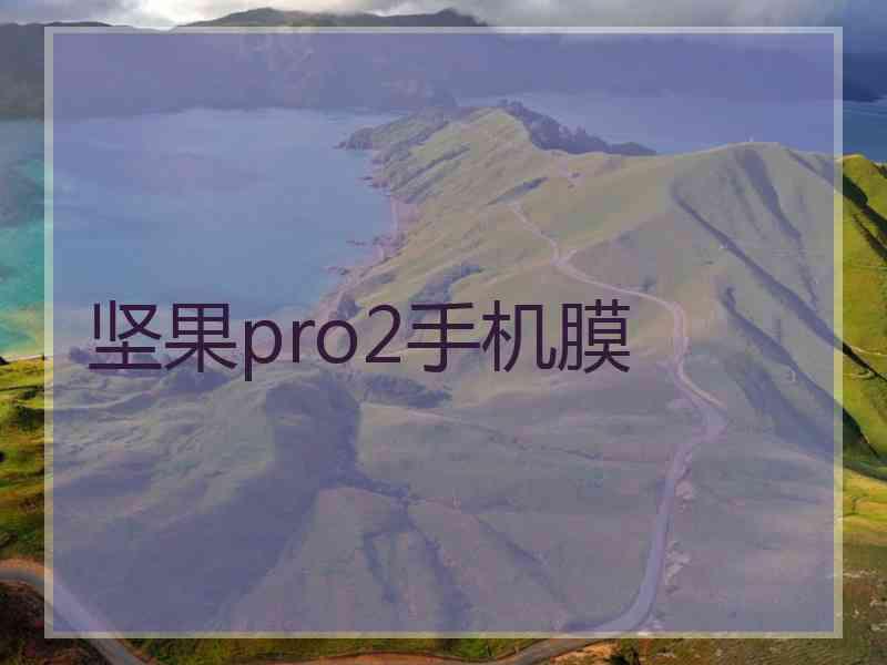 坚果pro2手机膜