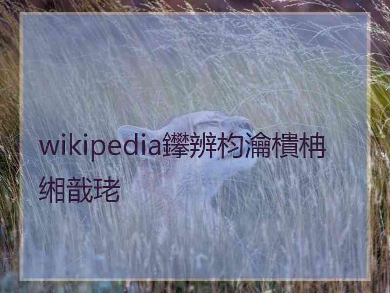 wikipedia鑻辨枃瀹樻柟缃戠珯