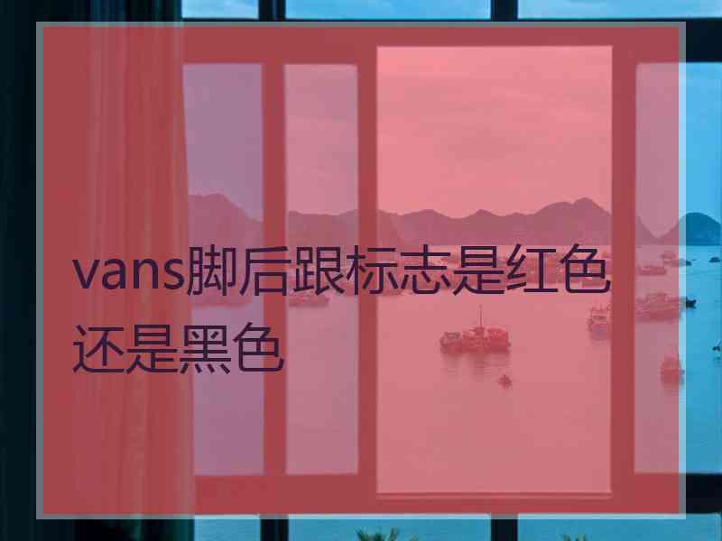 vans脚后跟标志是红色还是黑色