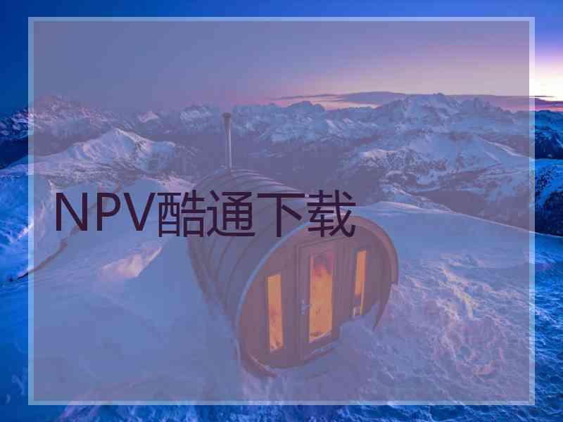 NPV酷通下载