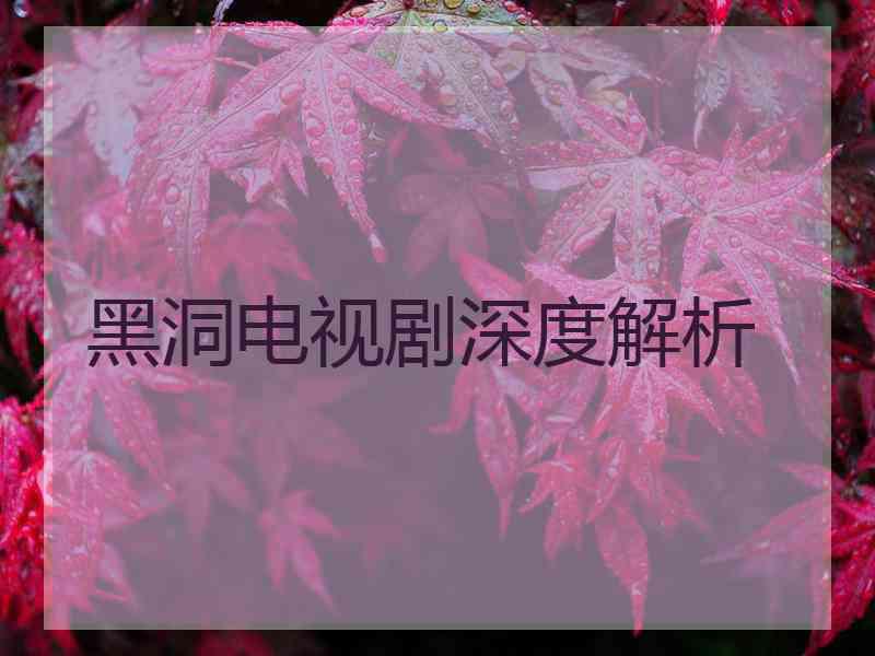 黑洞电视剧深度解析