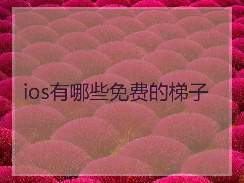 ios有哪些免费的梯子