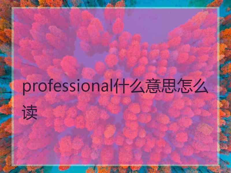 professional什么意思怎么读