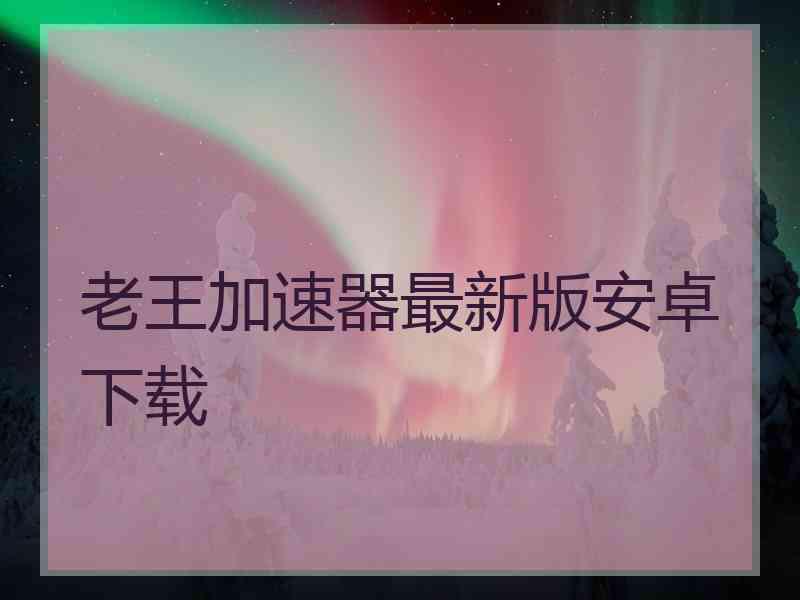 老王加速器最新版安卓下载