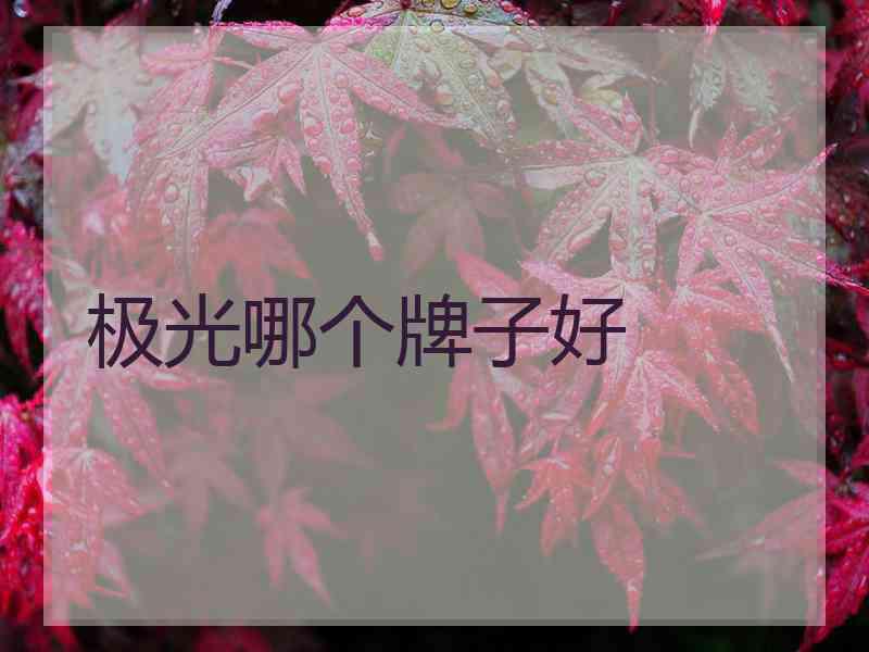 极光哪个牌子好