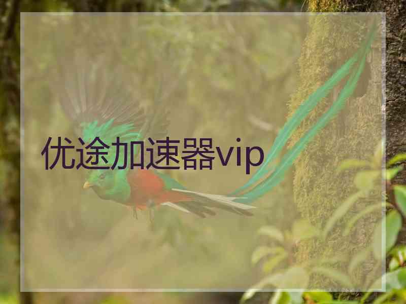 优途加速器vip