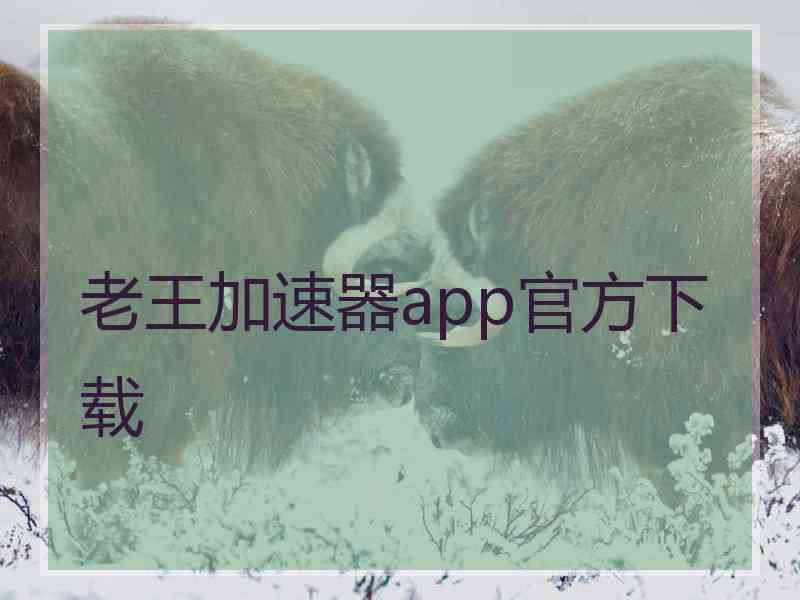 老王加速器app官方下载