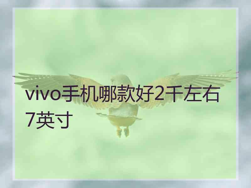 vivo手机哪款好2千左右7英寸