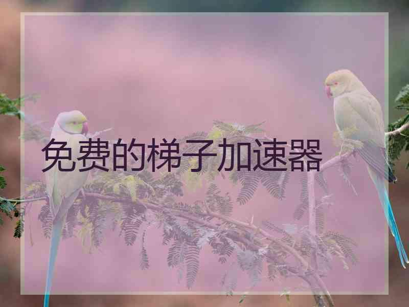 免费的梯子加速器