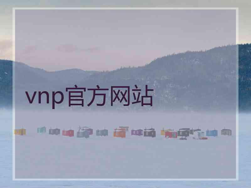 vnp官方网站