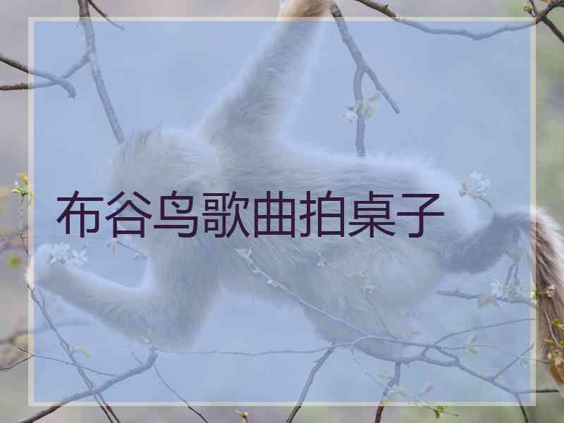 布谷鸟歌曲拍桌子