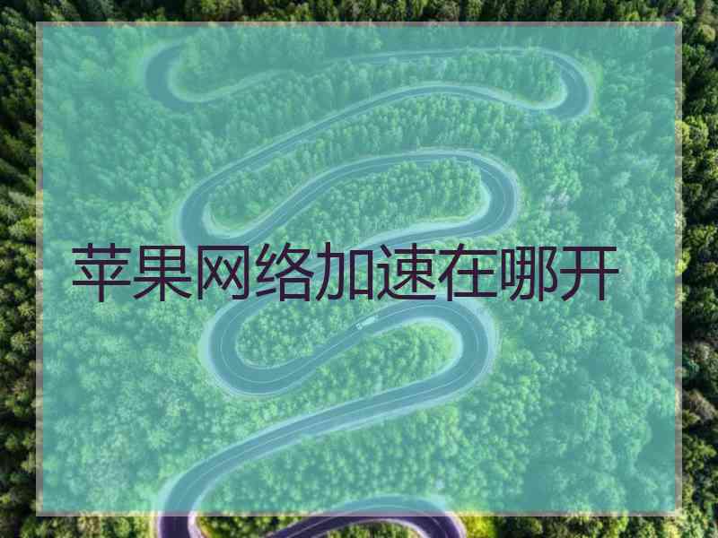 苹果网络加速在哪开