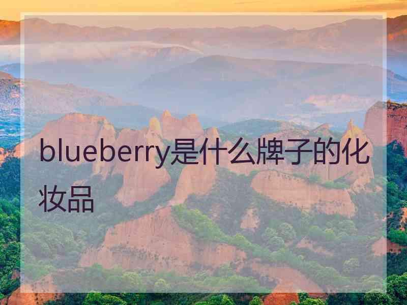 blueberry是什么牌子的化妆品