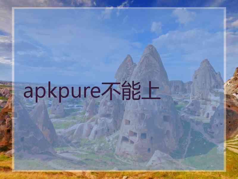 apkpure不能上