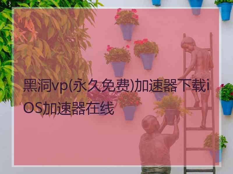 黑洞vp(永久免费)加速器下载iOS加速器在线