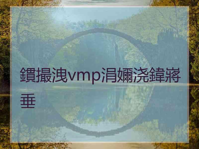 鏆撮洩vmp涓嬭浇鍏嶈垂