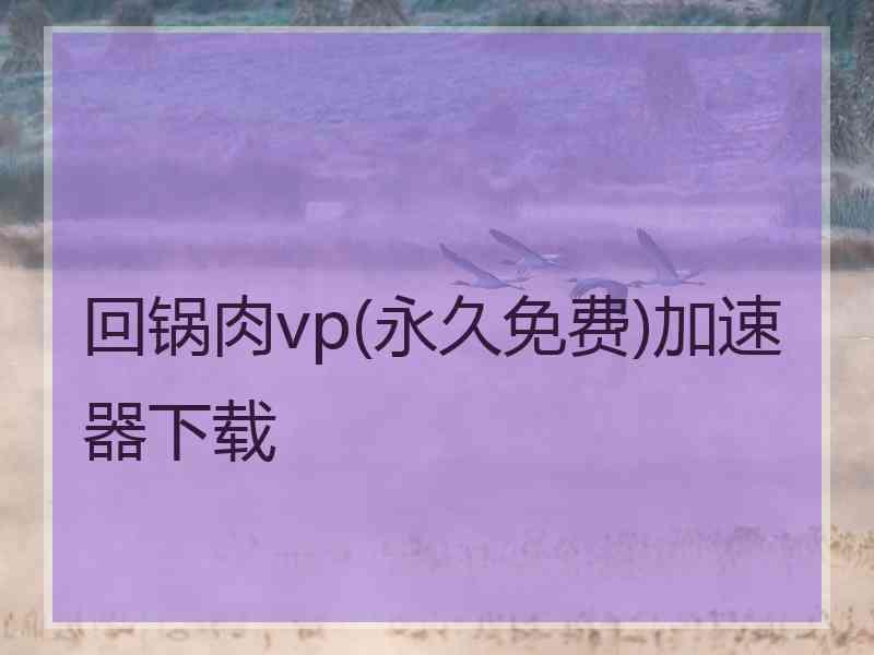 回锅肉vp(永久免费)加速器下载