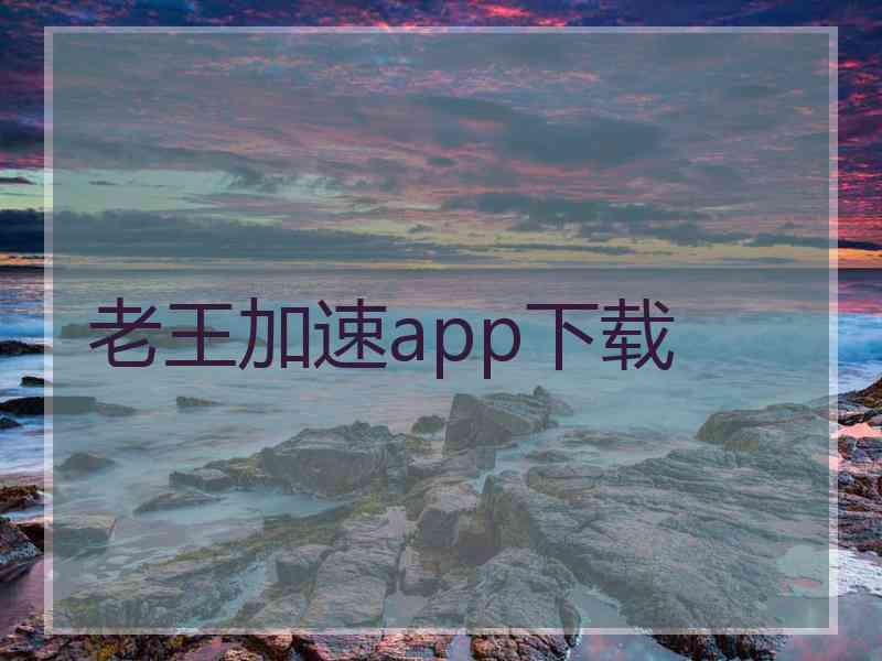 老王加速app下载