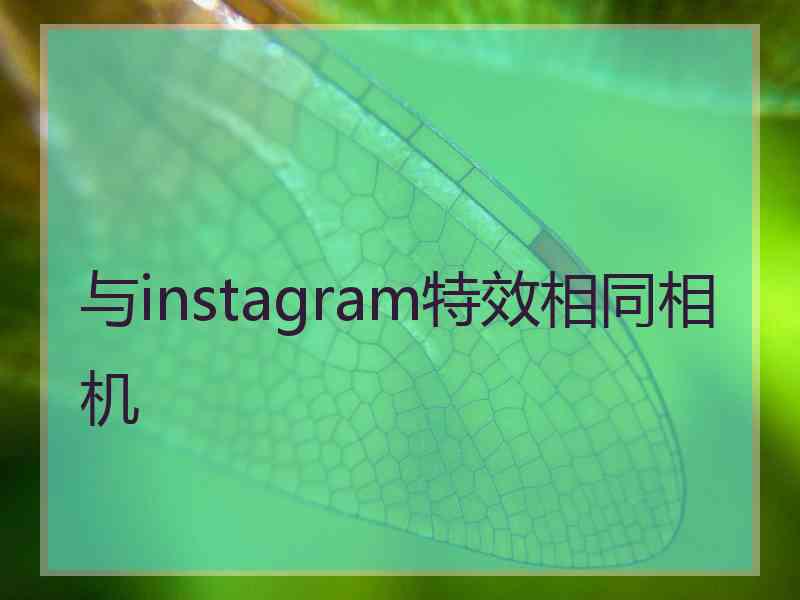 与instagram特效相同相机