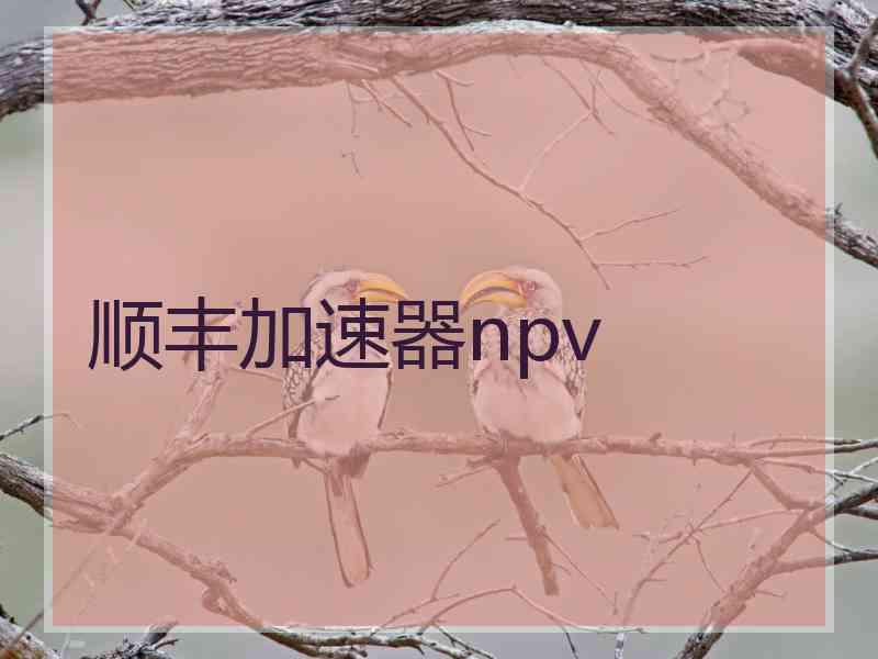 顺丰加速器npv