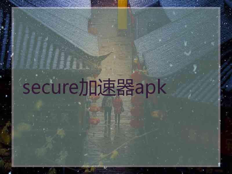 secure加速器apk