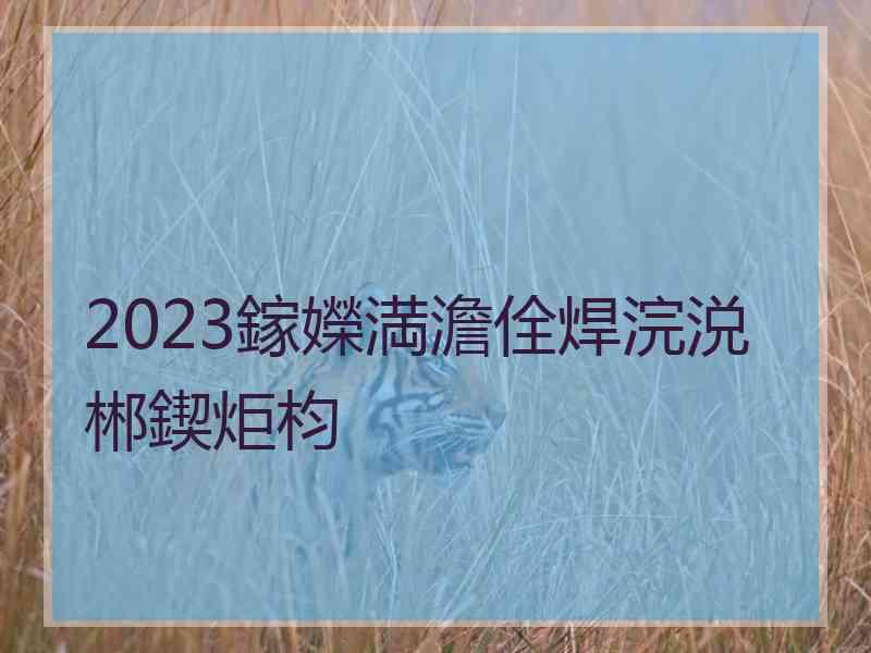 2023鎵嬫満澹佺焊浣涚郴鍥炬枃