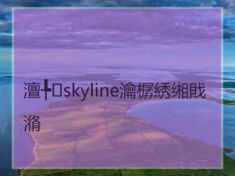 澶╄skyline瀹樼綉缃戝潃