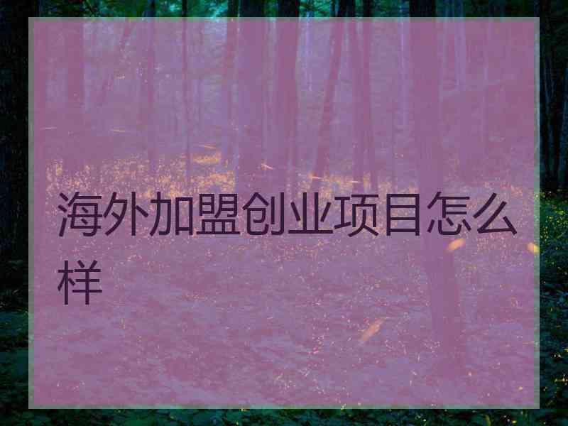 海外加盟创业项目怎么样