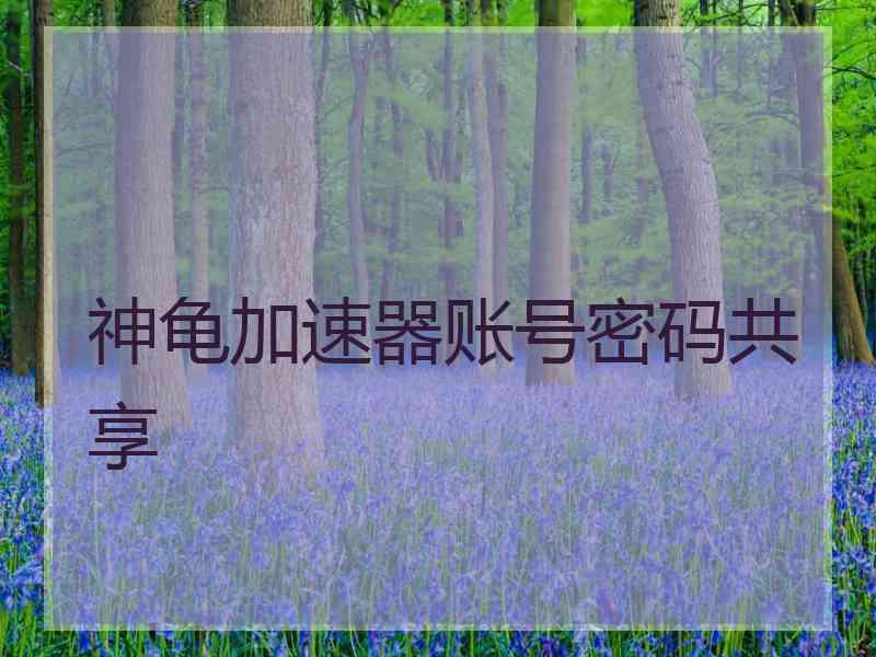 神龟加速器账号密码共享