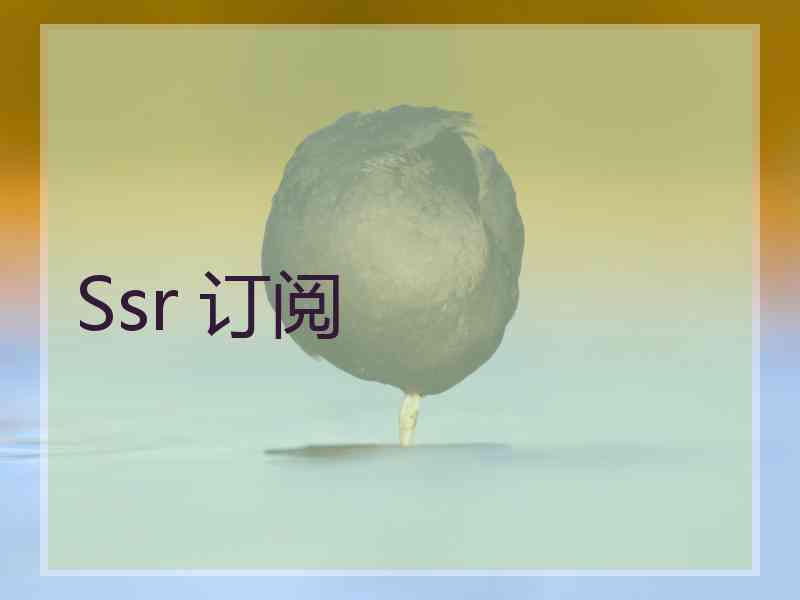 Ssr 订阅