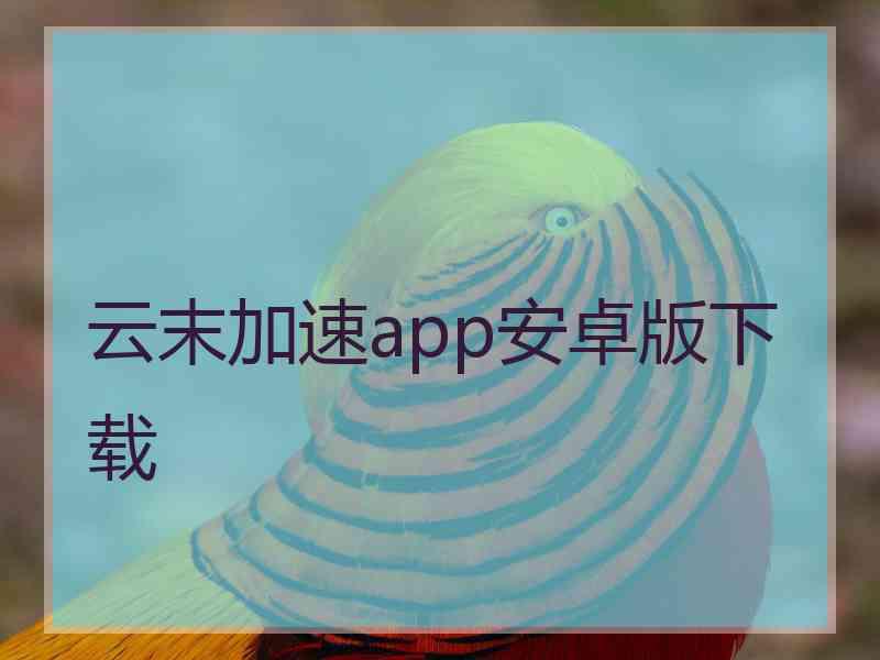 云末加速app安卓版下载