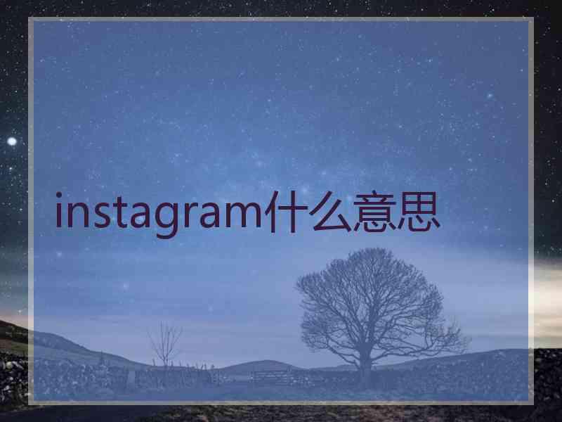 instagram什么意思