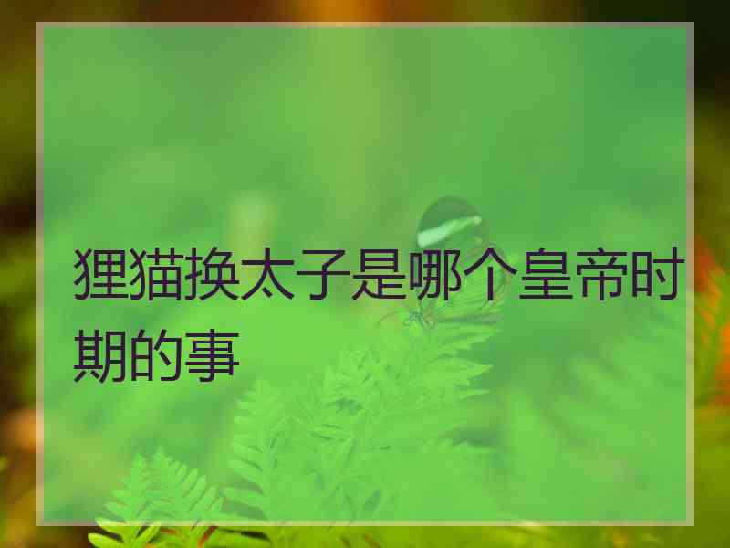 狸猫换太子是哪个皇帝时期的事