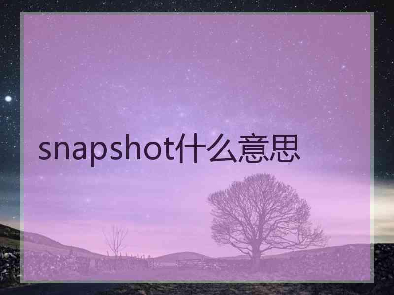 snapshot什么意思