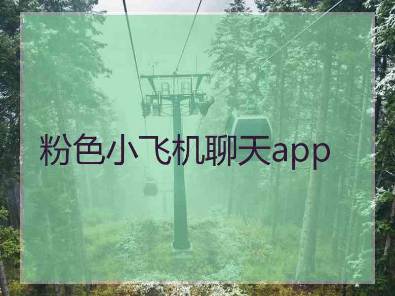 粉色小飞机聊天app