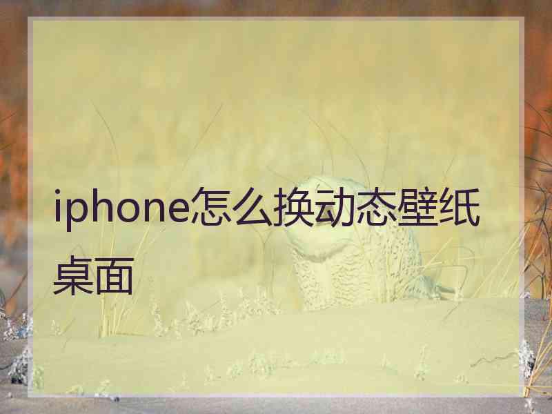 iphone怎么换动态壁纸桌面