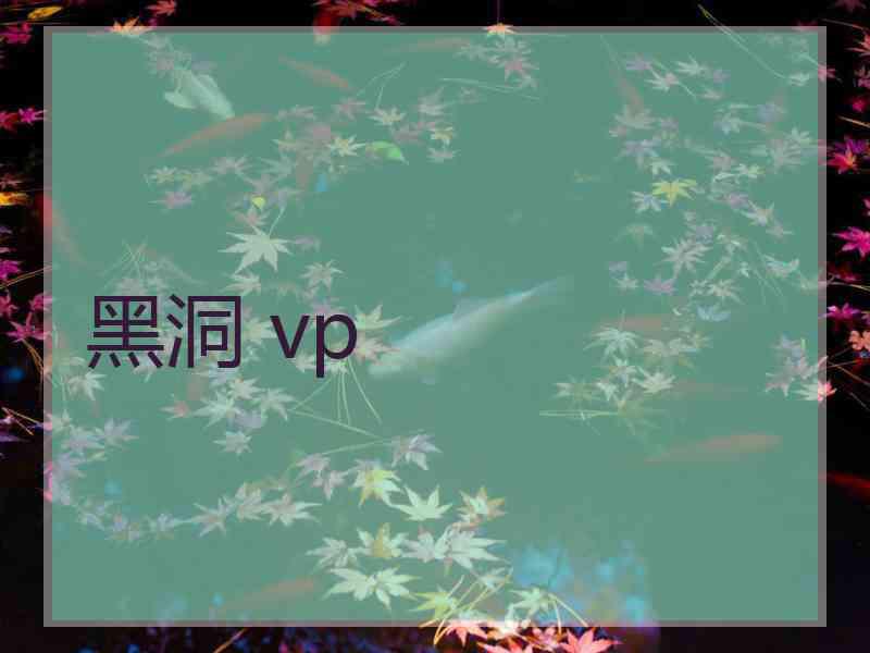 黑洞 vp