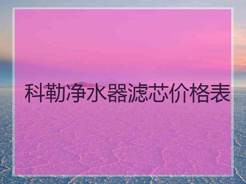 科勒净水器滤芯价格表