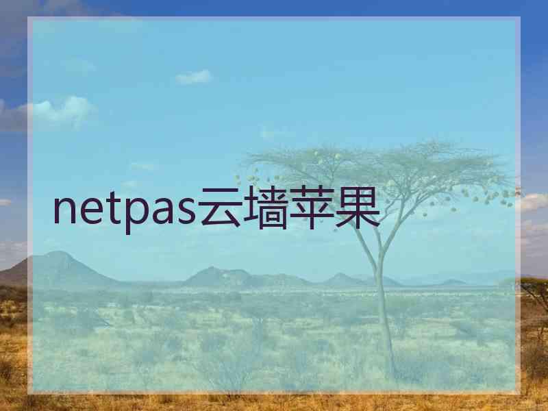 netpas云墙苹果