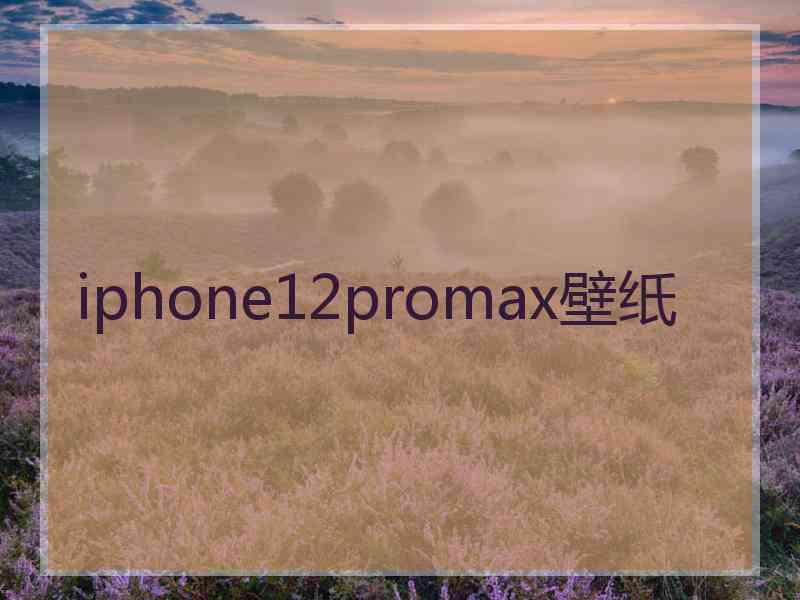 iphone12promax壁纸