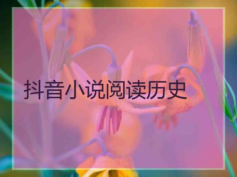 抖音小说阅读历史