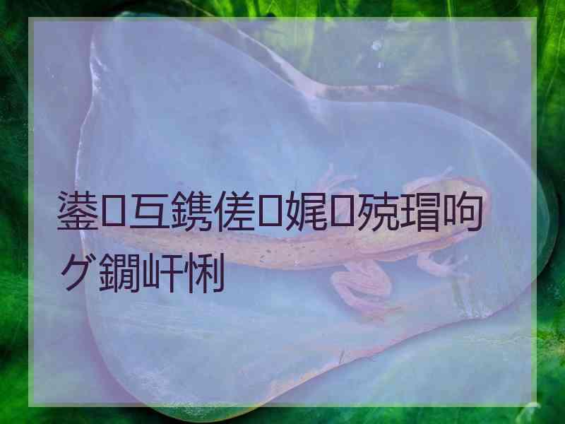 鍙互鎸傞娓殑瑁呴グ鐗屽悧