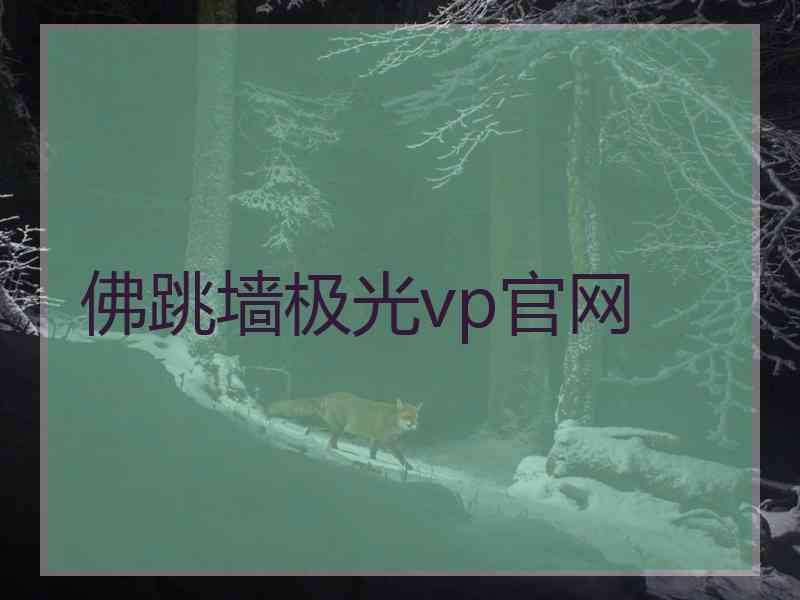 佛跳墙极光vp官网