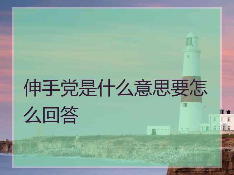 伸手党是什么意思要怎么回答