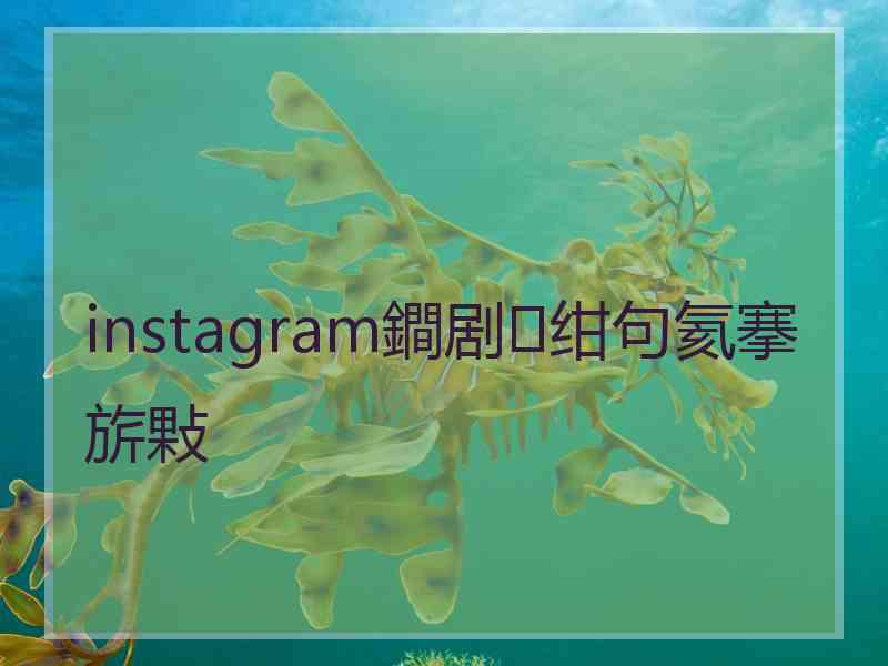 instagram鐧剧绀句氦搴旂敤