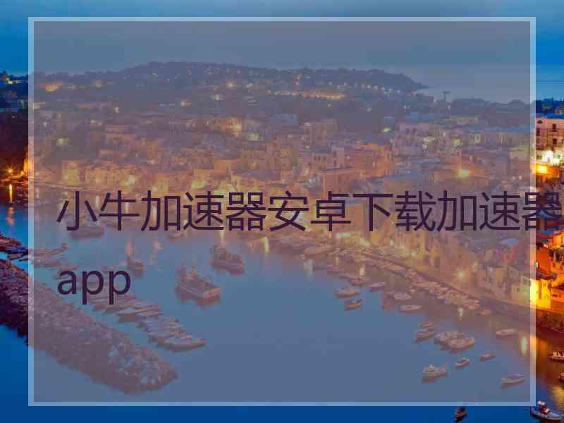 小牛加速器安卓下载加速器app