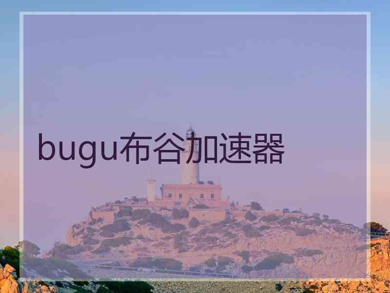 bugu布谷加速器